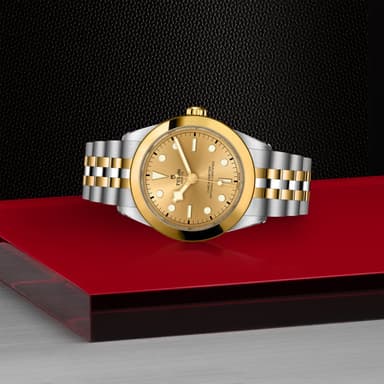 TUDOR Black Bay 39 S&G thumbnail 4