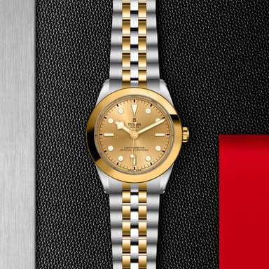 TUDOR Black Bay 39 S&G thumbnail 5