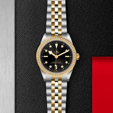TUDOR Black Bay 39 S&G thumbnail 5