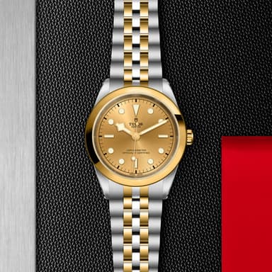 TUDOR Black Bay 41 S&G thumbnail 5