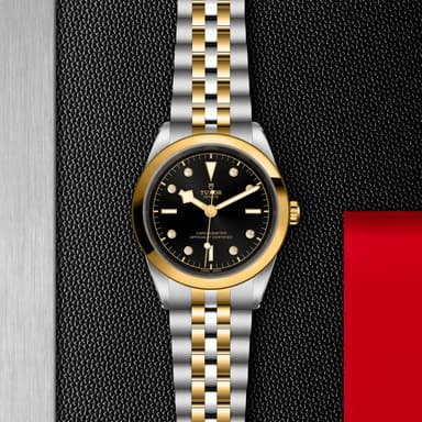 TUDOR Black Bay 41 S&G thumbnail 5
