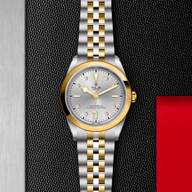 TUDOR Black Bay 41 S&G thumbnail 5