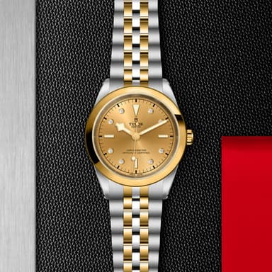 TUDOR Black Bay 41 S&G thumbnail 5