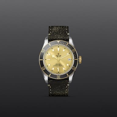 TUDOR Black Bay S&G thumbnail 2