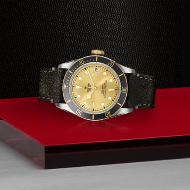 TUDOR Black Bay S&G thumbnail 4