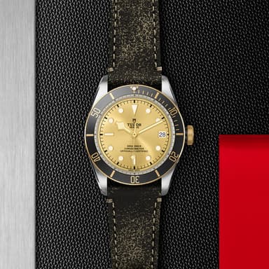 TUDOR Black Bay S&G thumbnail 5