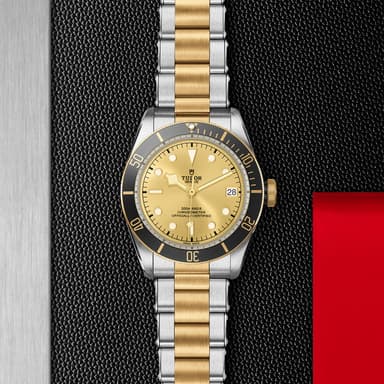 TUDOR Black Bay S&G thumbnail 5