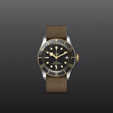 TUDOR Black Bay S&G thumbnail 2