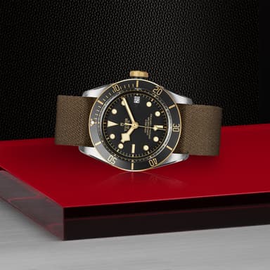 TUDOR Black Bay S&G thumbnail 4