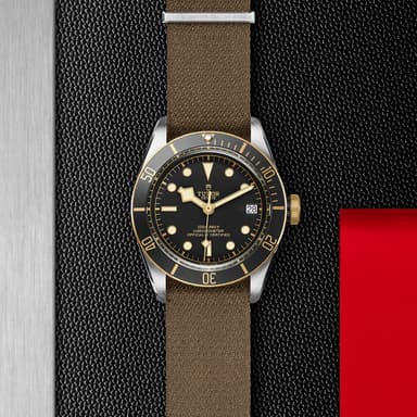 TUDOR Black Bay S&G thumbnail 5