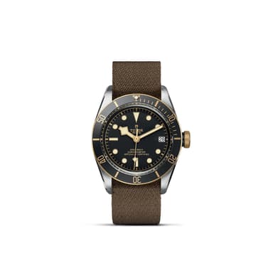 TUDOR Black Bay S&G thumbnail 1