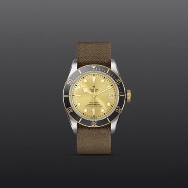 TUDOR Black Bay S&G thumbnail 2