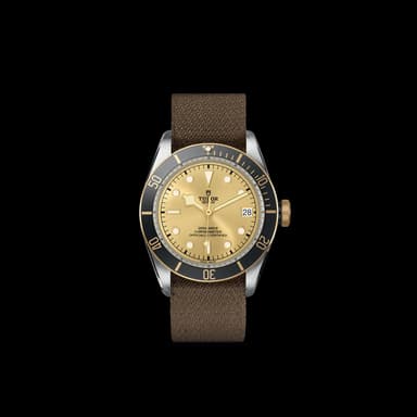 TUDOR Black Bay S&G thumbnail 3