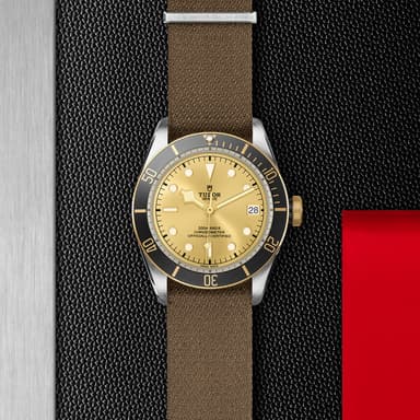 TUDOR Black Bay S&G thumbnail 5