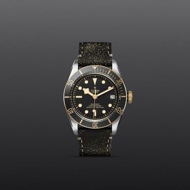TUDOR Black Bay S&G thumbnail 2