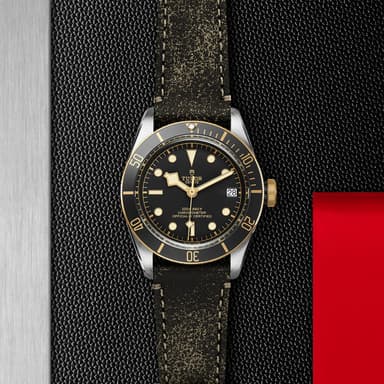 TUDOR Black Bay S&G thumbnail 5