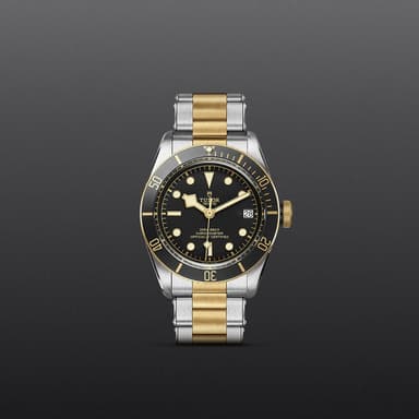 TUDOR Black Bay S&G thumbnail 2