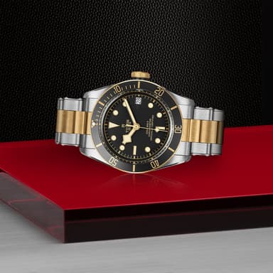 TUDOR Black Bay S&G thumbnail 4