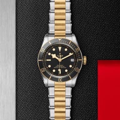 TUDOR Black Bay S&G thumbnail 5