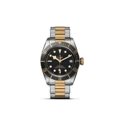 TUDOR Black Bay S&G thumbnail 1