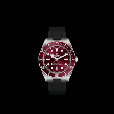 TUDOR Black Bay 58 thumbnail 3