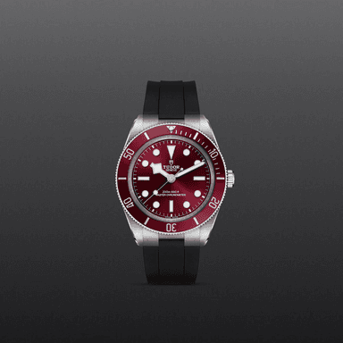 TUDOR Black Bay 58 thumbnail 2