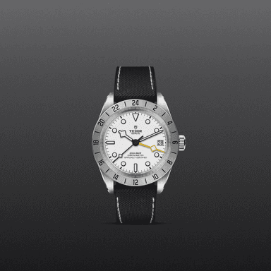 TUDOR Black Bay Pro thumbnail 2