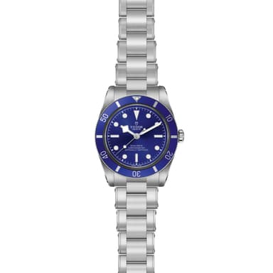 TUDOR Black Bay 54 thumbnail 3