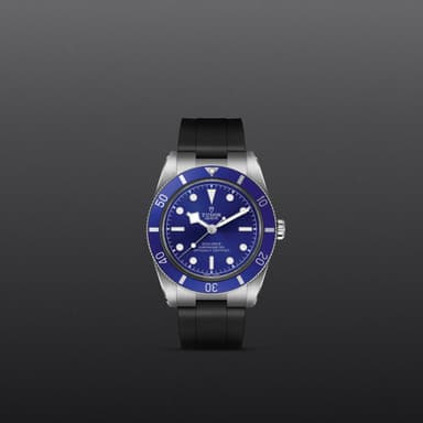 TUDOR Black Bay 54 thumbnail 2