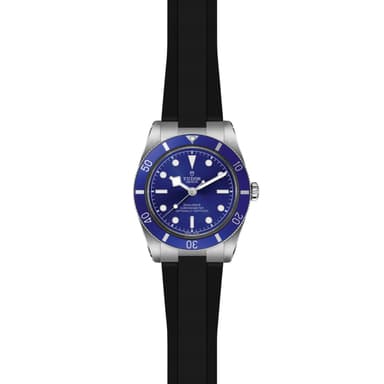 TUDOR Black Bay 54 thumbnail 3
