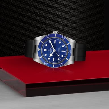 TUDOR Black Bay 54 thumbnail 4