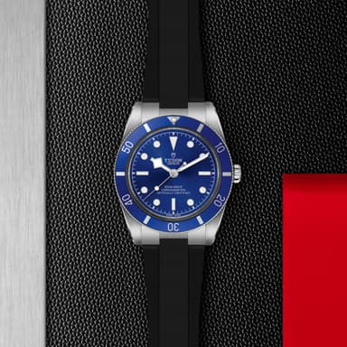 TUDOR Black Bay 54 thumbnail 5