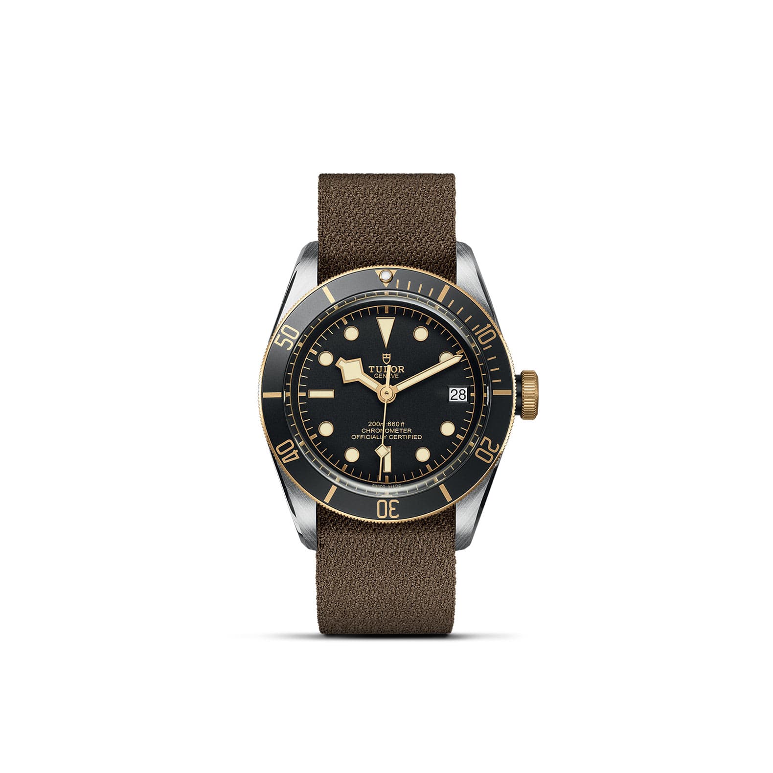 TUDOR Black Bay S&G