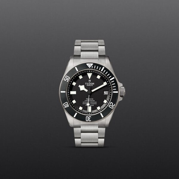 TUDOR Pelagos - immagine 2