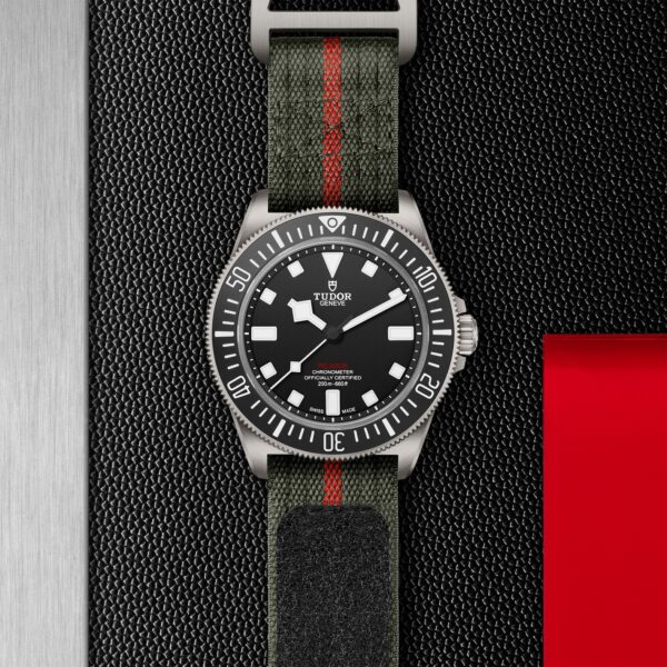 TUDOR Pelagos FXD - immagine 5
