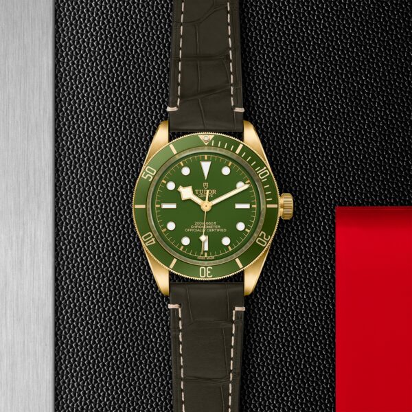 TUDOR Black Bay 58 18K - immagine 5