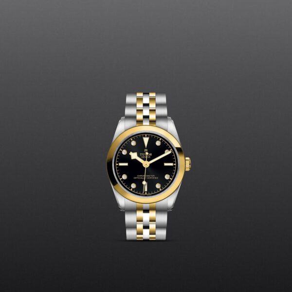 TUDOR Black Bay 31 S&G - immagine 2
