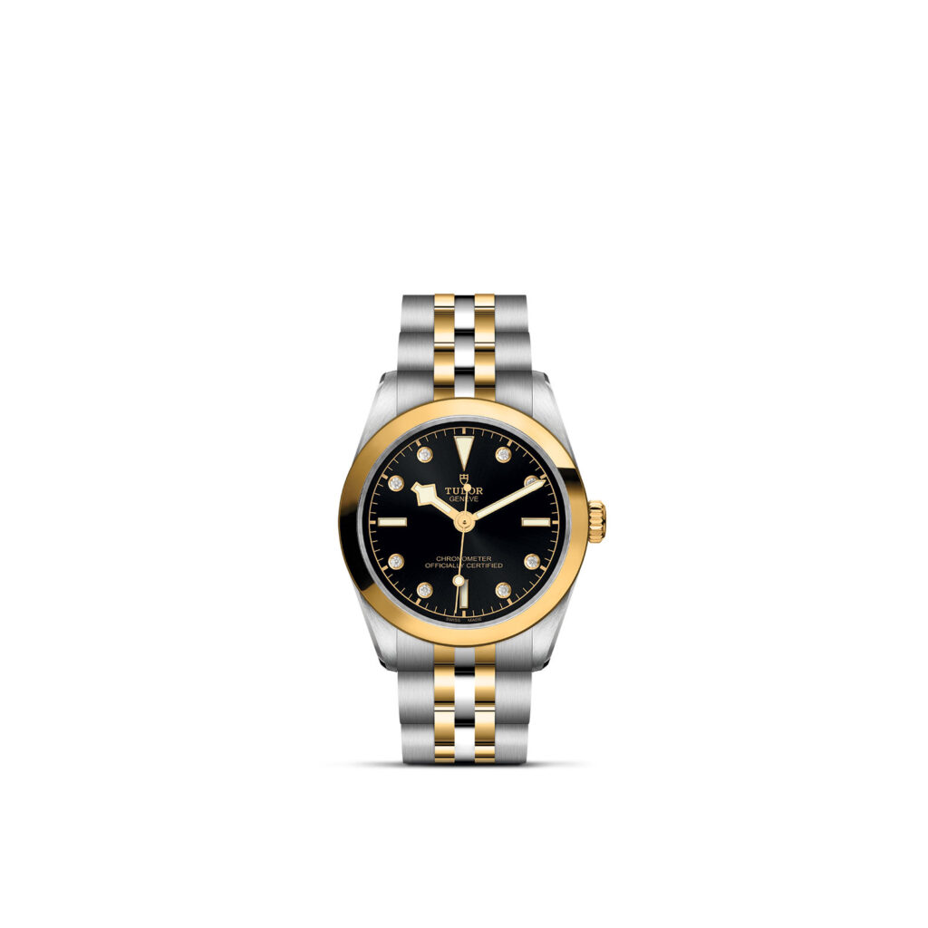 TUDOR Black Bay 31 S&G