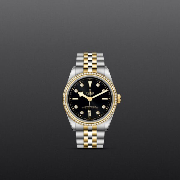 TUDOR Black Bay 36 S&G - immagine 2