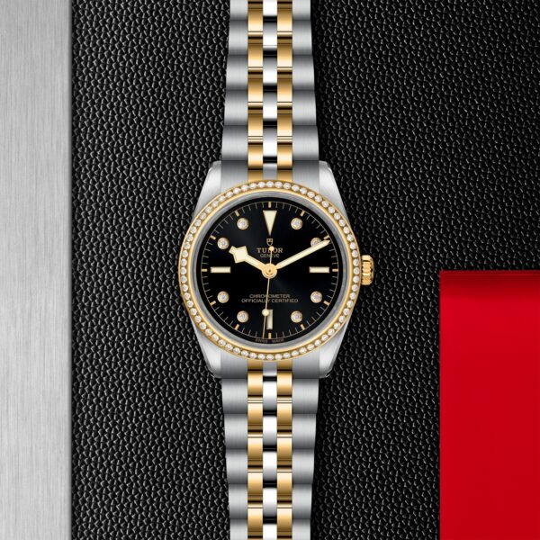 TUDOR Black Bay 36 S&G - immagine 5