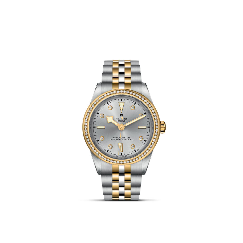 TUDOR Black Bay 39 S&G