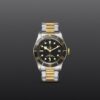TUDOR Black Bay S&G - immagine 2