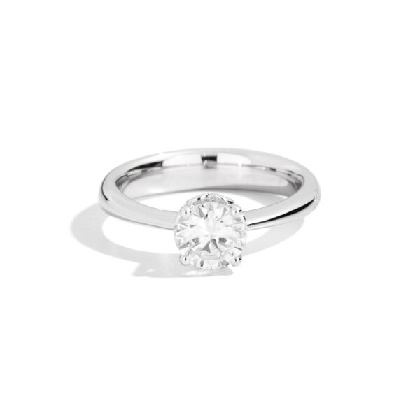 Recarlo Anelli R01SO001